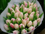 [Salvo Test 2006_0216Image0018.JPG]